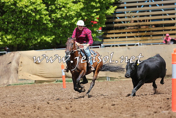 TaralgaCampdraftSat_0173