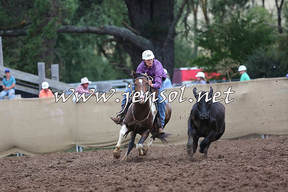 TaralgaCampdraftSat_0192