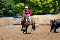 TaralgaCampdraftSat_0172