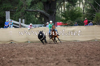TaralgaCampdraftSat_0177