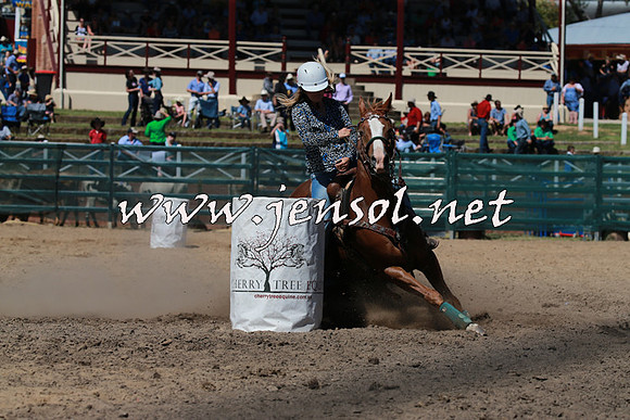 CoomaRodeo2016_1251