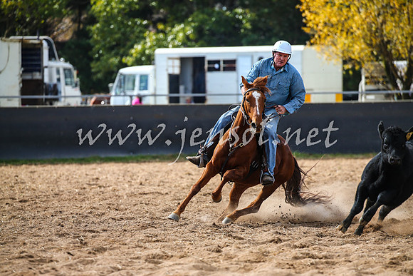 BungendoreCampdraft2017_0529