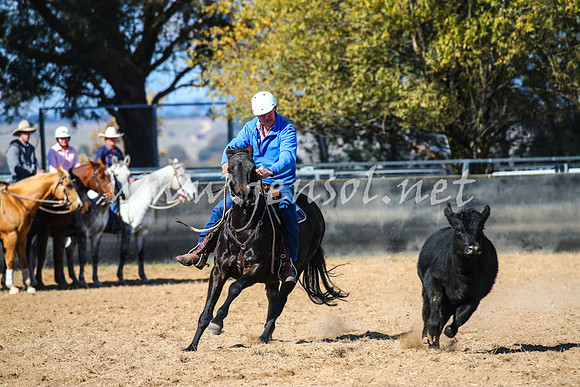 BungendoreCampdraft2017_0335