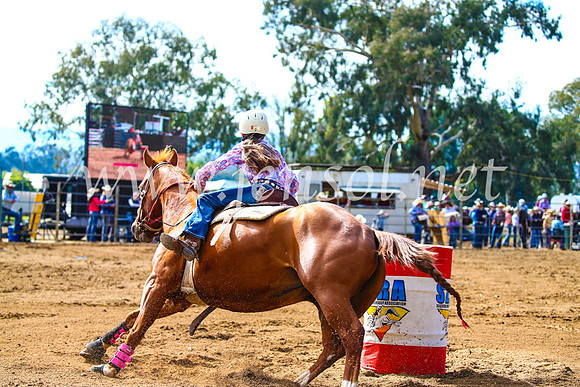 TumutRodeo2017_0624