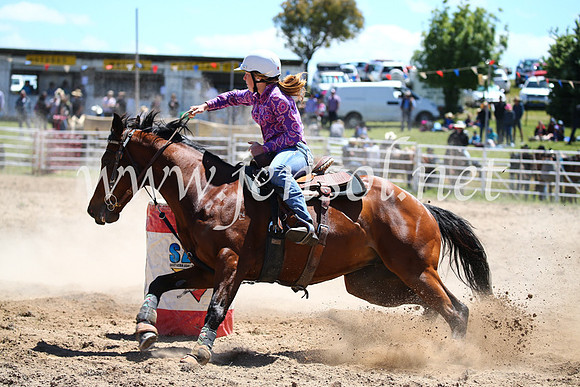 BungendoreRodeo2016-1258