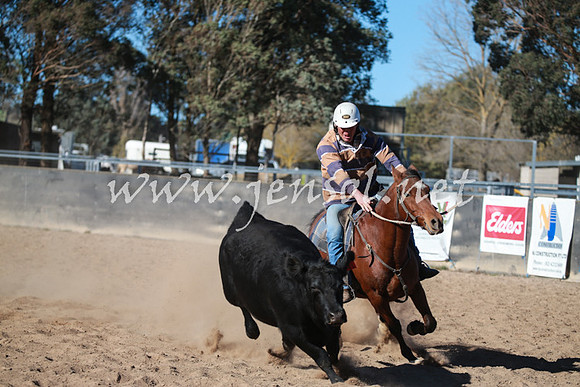 BungendoreCampdraft2016_6316