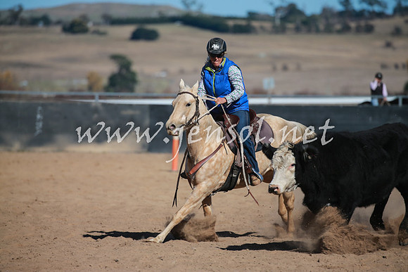 BungendoreCampdraft2016_6146