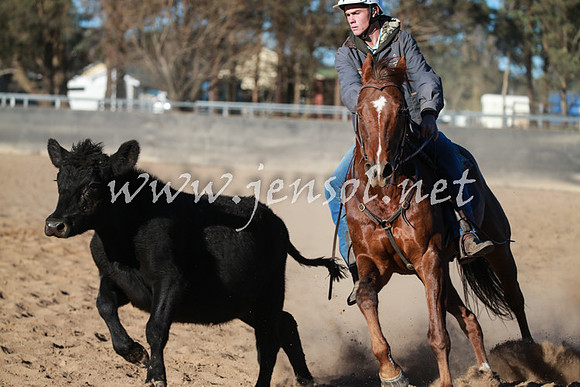BungendoreCampdraft2016_6507