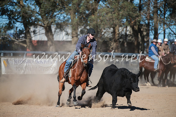 BungendoreCampdraft2016_6130