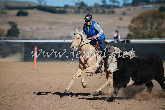 BungendoreCampdraft2016_6154
