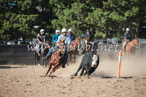 BungendoreCampdraft2016_6208