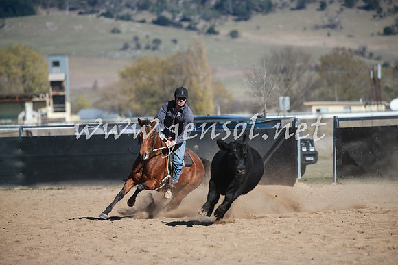 BungendoreCampdraft2016_6118