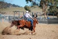 BungendoreCampdraft2016_6104