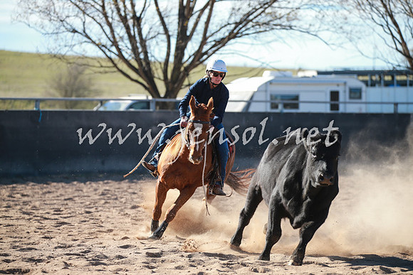 BungendoreCampdraft2016_6306