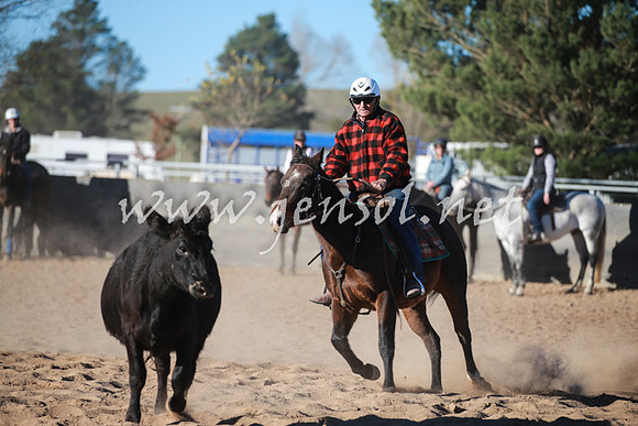 BungendoreCampdraft2016_6463