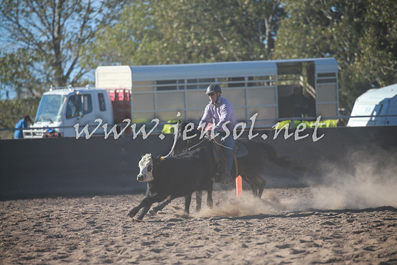 BungendoreCampdraft2016_6330