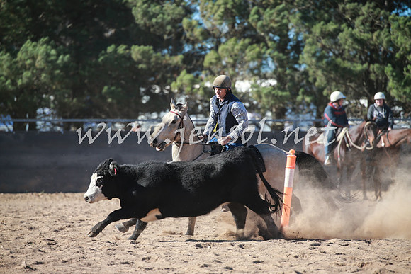 BungendoreCampdraft2016_6215