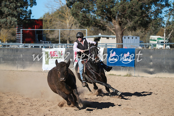 BungendoreCampdraft2016_6400