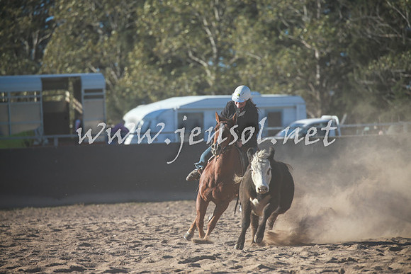 BungendoreCampdraft2016_6426