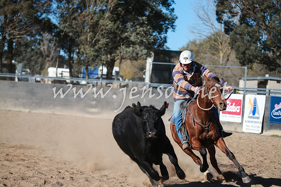 BungendoreCampdraft2016_6315