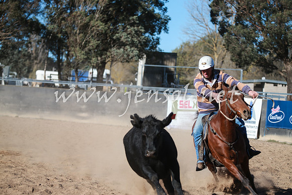BungendoreCampdraft2016_6309