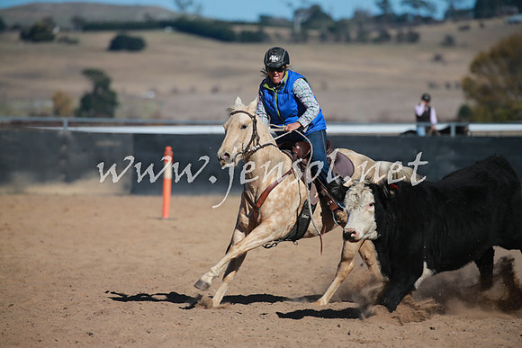 BungendoreCampdraft2016_6150