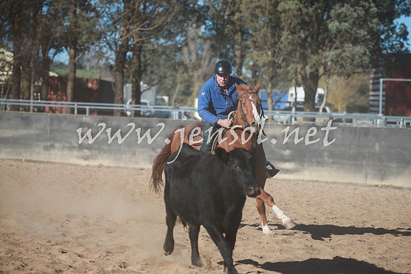 BungendoreCampdraft2016_6382