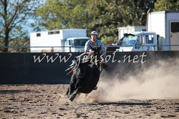 BungendoreCampdraft2016_6246
