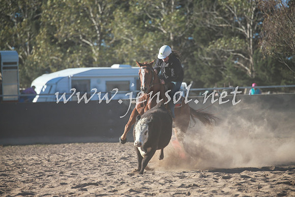 BungendoreCampdraft2016_6427