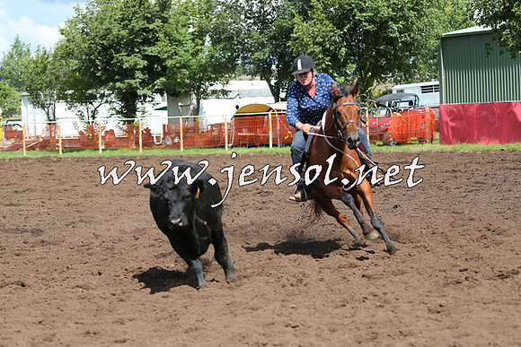 NimmitabelCampdraft2015_0279