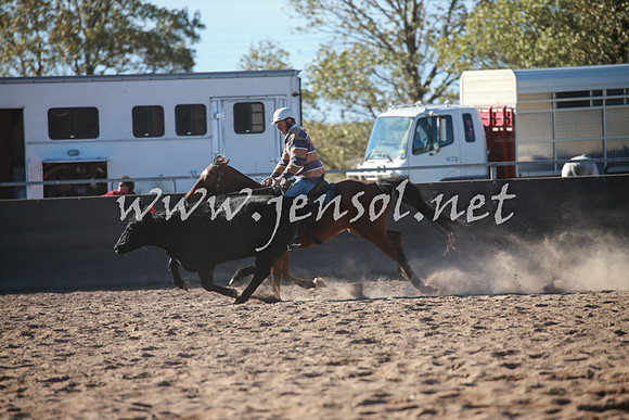 BungendoreCampdraft2016_6320