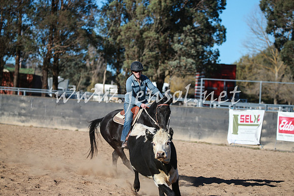 BungendoreCampdraft2016_6378