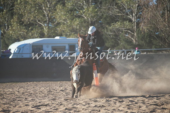 BungendoreCampdraft2016_6431