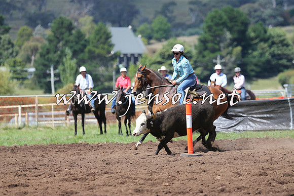 NimmitabelCampdraft2015_0261