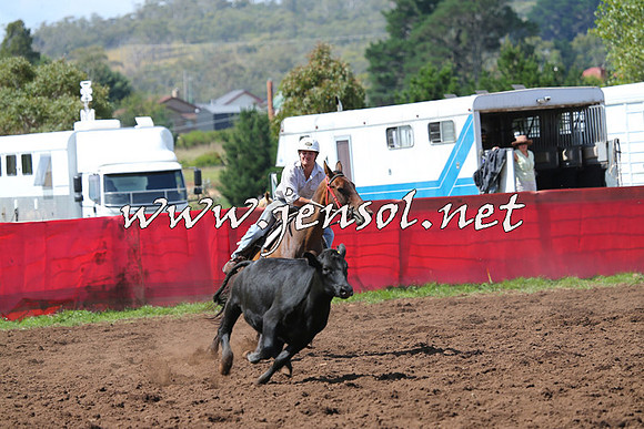 NimmitabelCampdraft2015_0243
