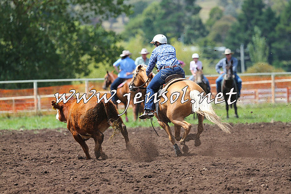 NimmitabelCampdraft2015_0066