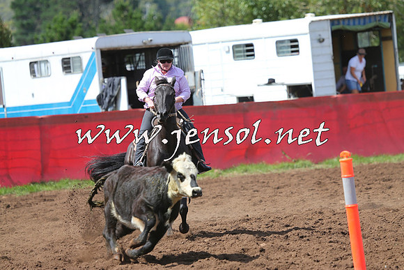 NimmitabelCampdraft2015_0270