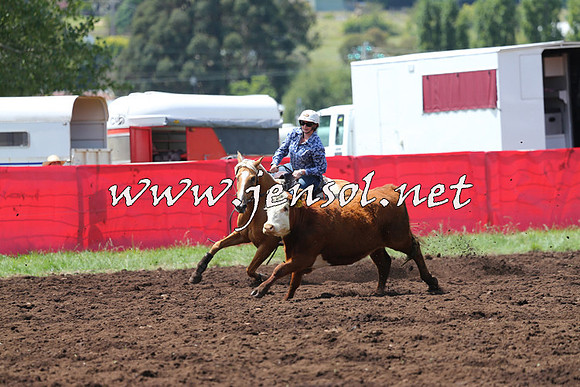 NimmitabelCampdraft2015_0073