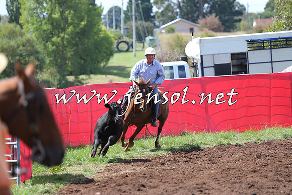 NimmitabelCampdraft2015_0229