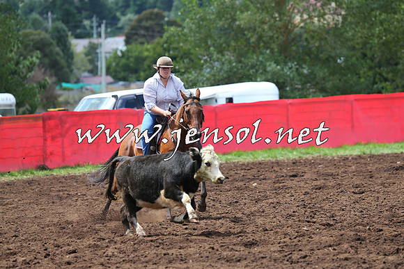 NimmitabelCampdraft2015_0040