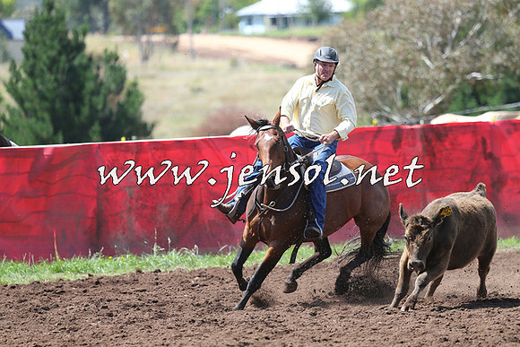 NimmitabelCampdraft2015_0159