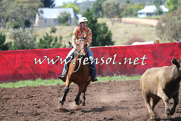 NimmitabelCampdraft2015_0204