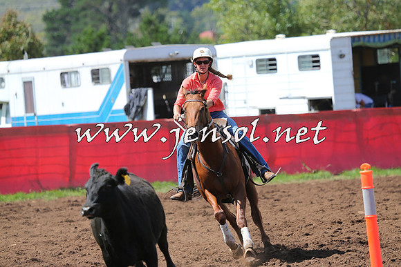 NimmitabelCampdraft2015_0234