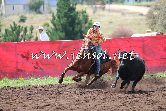 NimmitabelCampdraft2015_0058