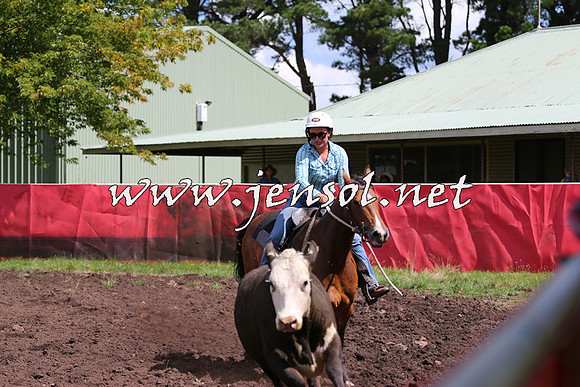 NimmitabelCampdraft2015_0255