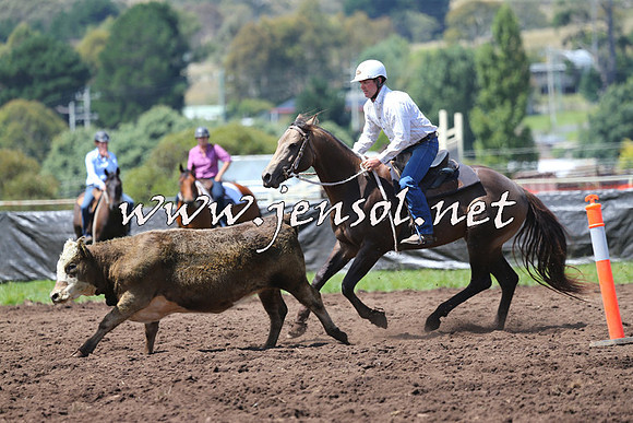 NimmitabelCampdraft2015_0120