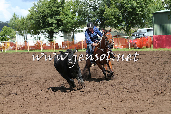NimmitabelCampdraft2015_0283