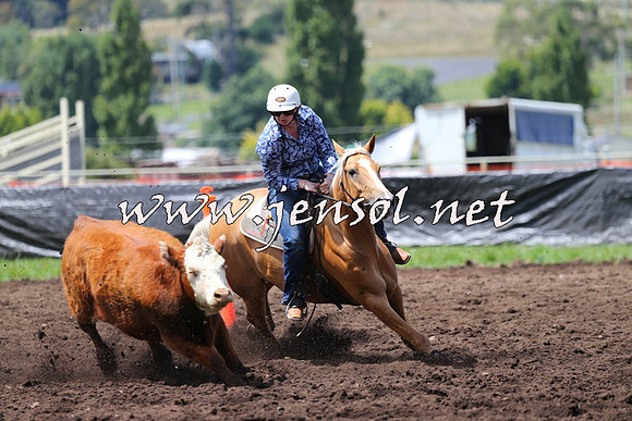 NimmitabelCampdraft2015_0081