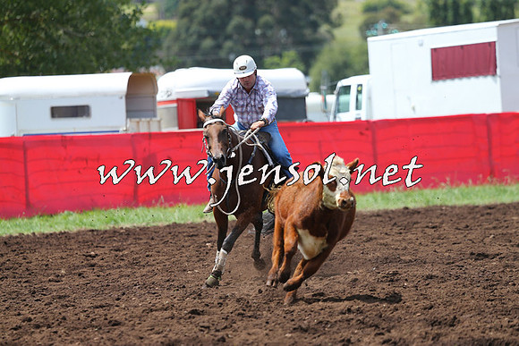 NimmitabelCampdraft2015_0050