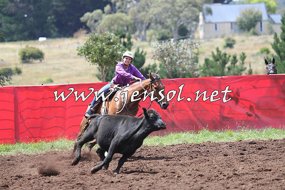 NimmitabelCampdraft2015_0145